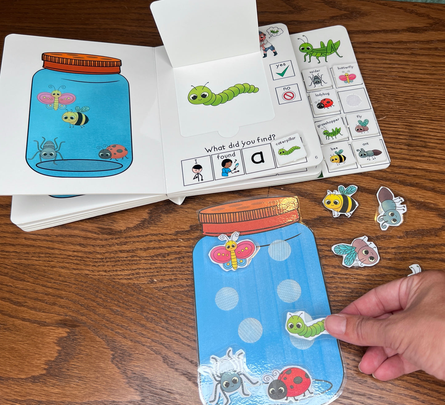 Jacob's Bug Collection ~  Lift-a-Flap Board Book + downloadable extras