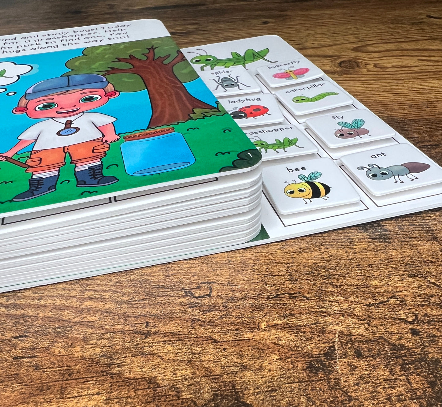 Jacob's Bug Collection ~ Lift-a-Flap Board Book + downloadable extras