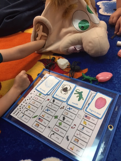 What's In There? Articulation  ~ Speech Therapy Game Companion