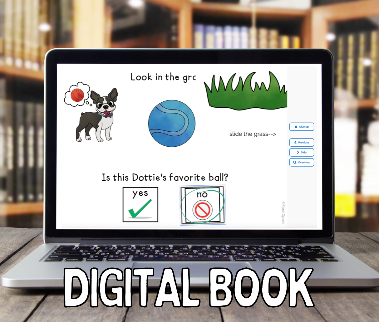 Dottie's Favorite ball DIGITAL BOOK (BOOM Card Book)