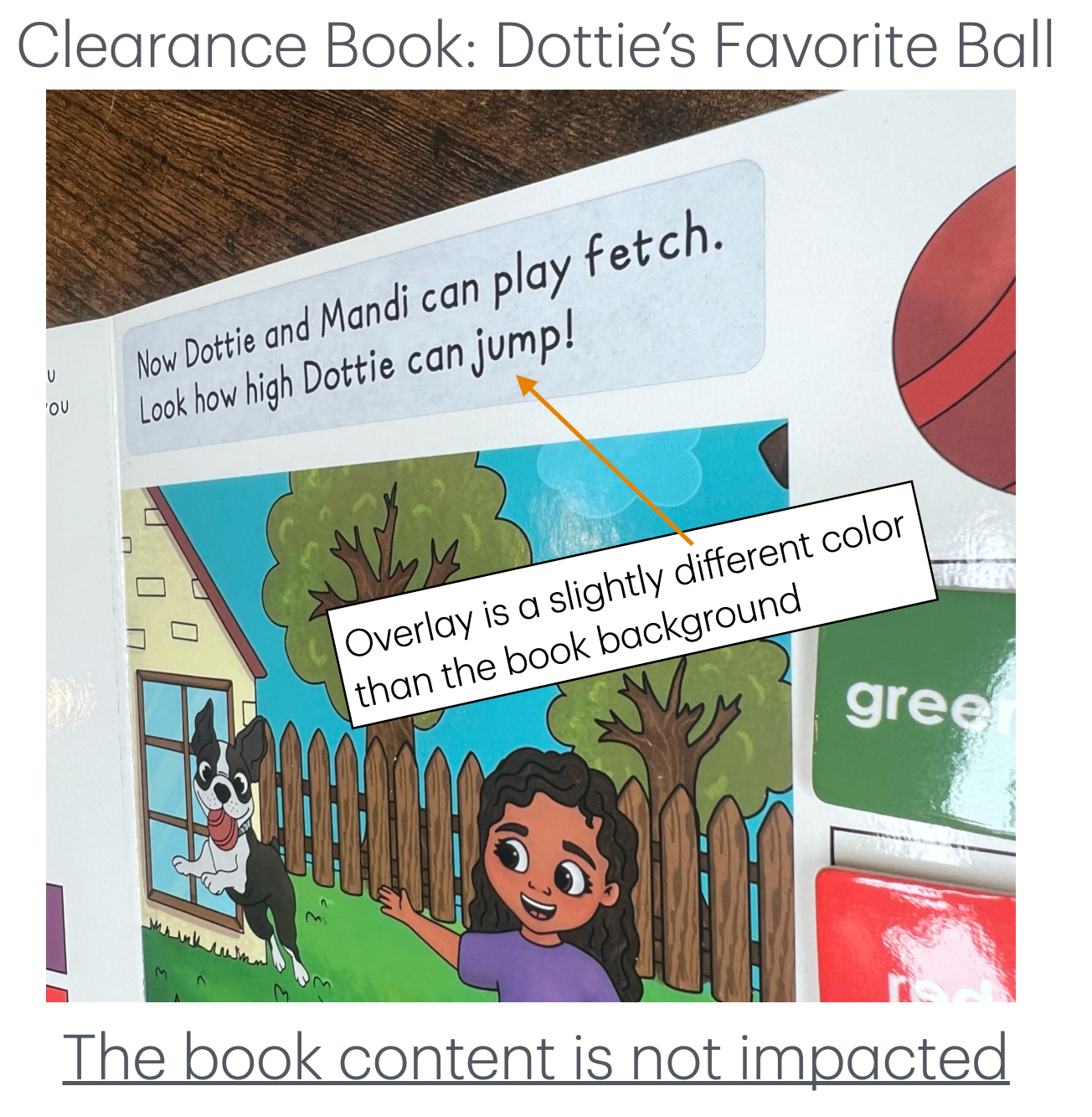 CLEARANCE Special Dottie's Favorite Ball ~ Lift-a-Flap Board Book + downloadable extras