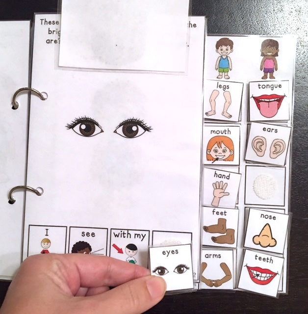 My Amazing Body LIft a Flap Book (Print & Make Book)