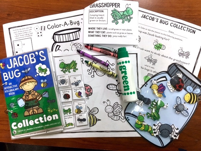 Jacob's Bug Collection Lift a Flap Book (Print & Make Book)