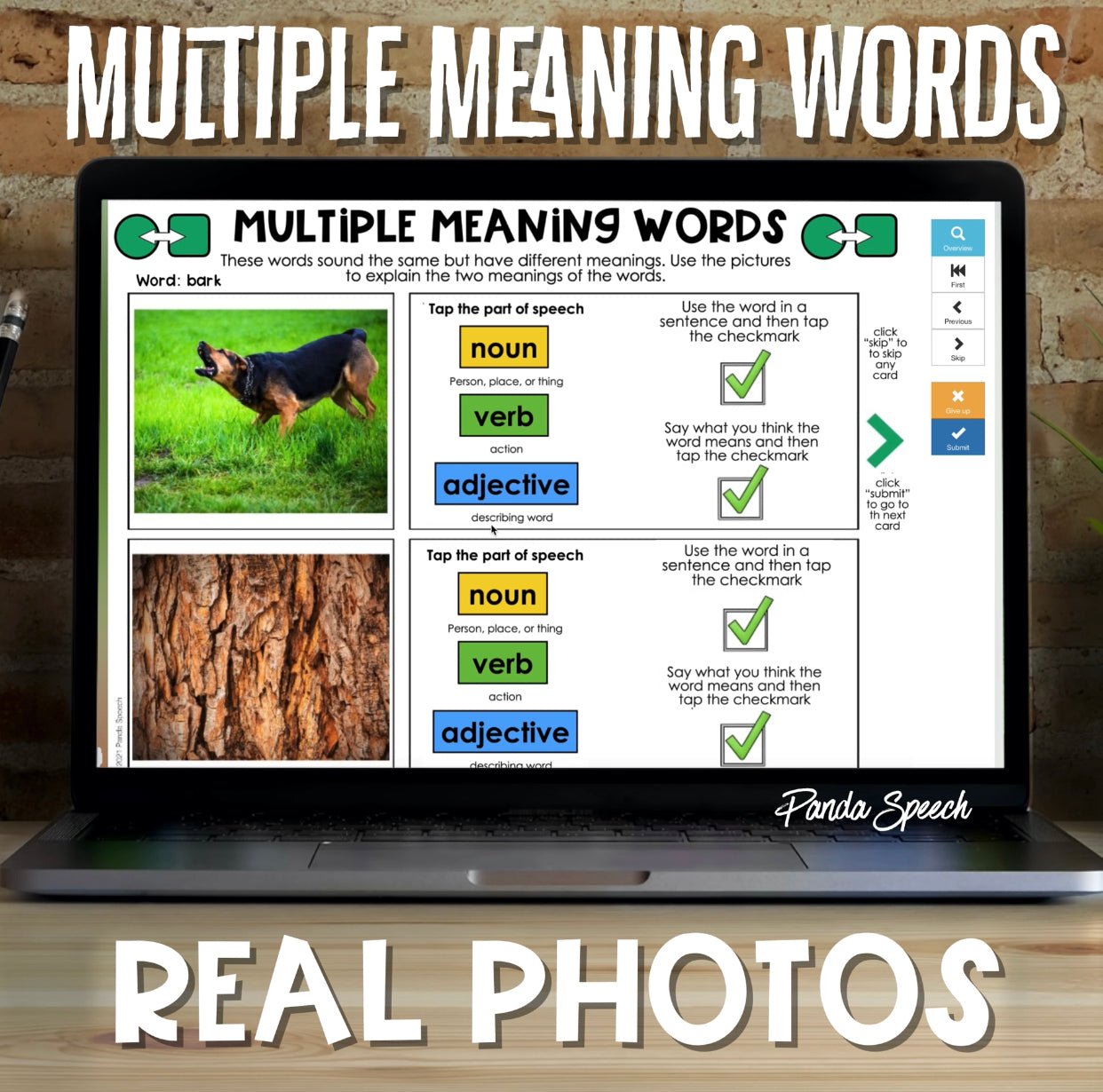 Real Photo Language Cards: Multiple Meaning Words