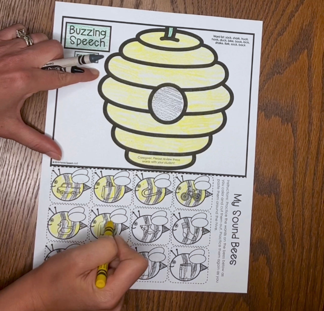 Buzzing Speech ~ One Page Speech and Language Craft