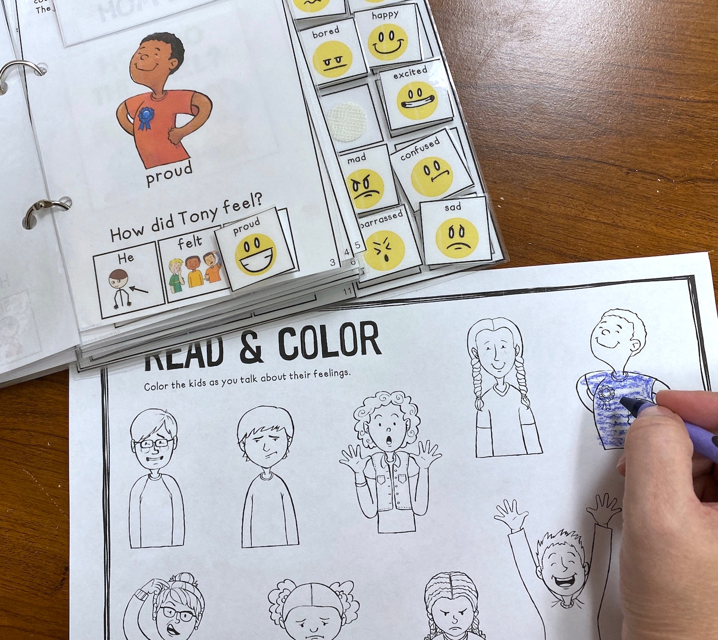 How Do They Feel? Lift a Flap Book for older students (Print & Make Book)