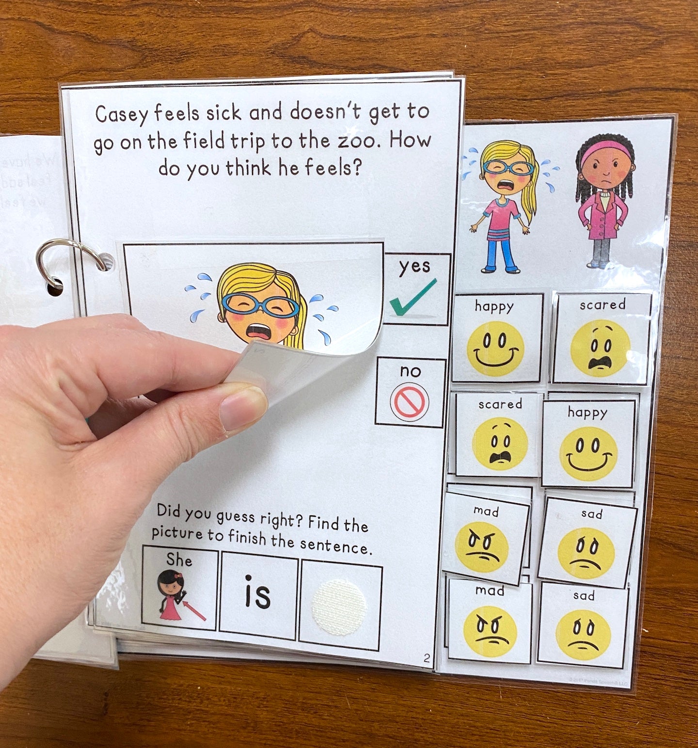 How Do They Feel? Lift a Flap Book for younger students (Print & Make Book)