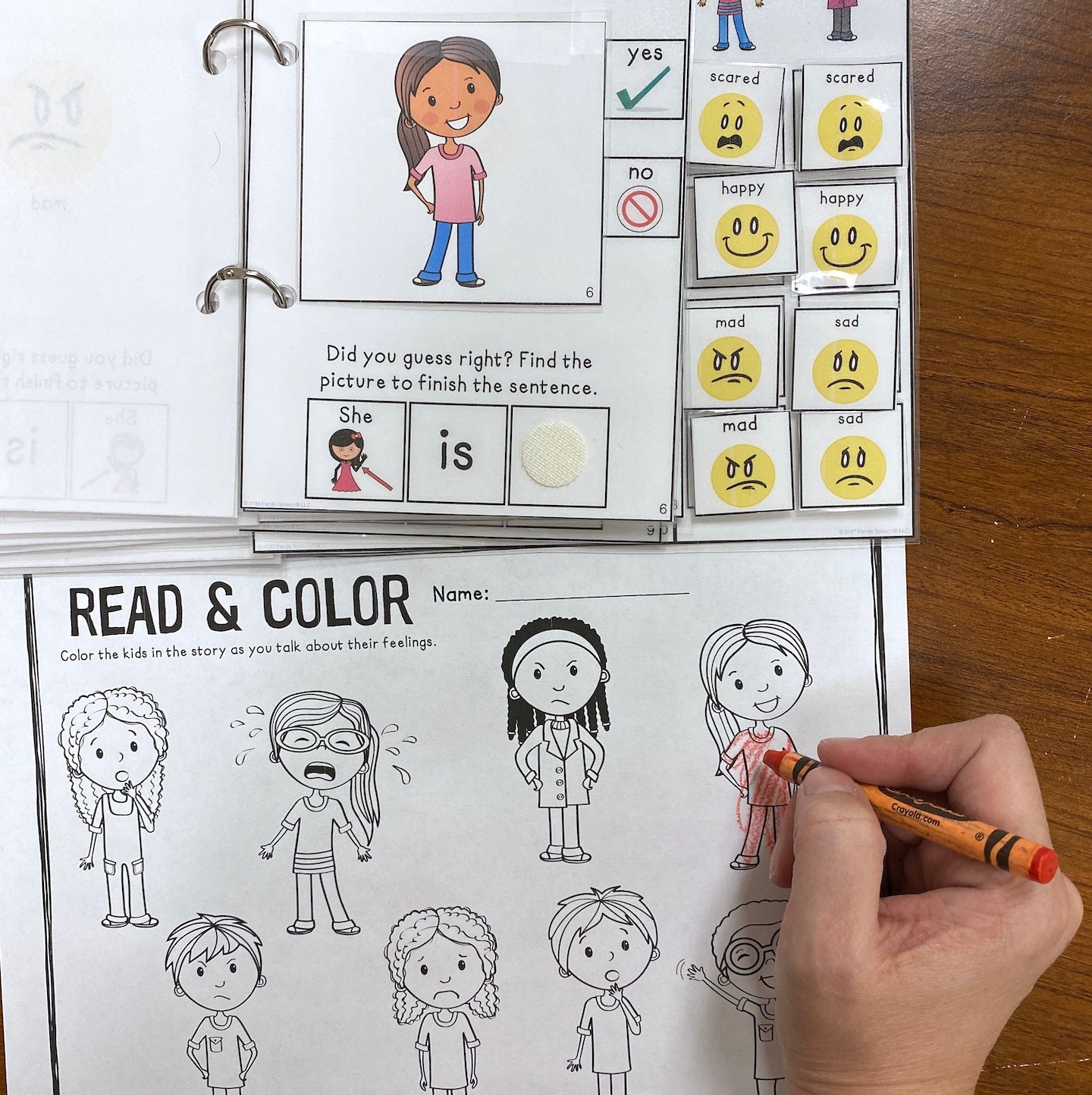 How Do They Feel? Lift a Flap Book for younger students (Print & Make Book)