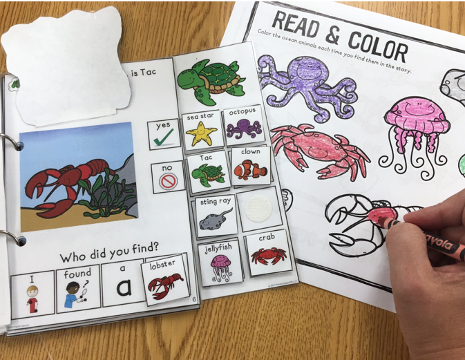 Where's Tac? Lift a Flap Book  (Print & Make Book)