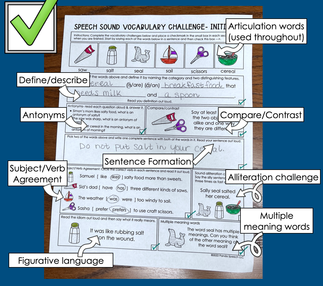 Speech Sound Vocabulary Challenge~ Print & Go for Mixed Groups