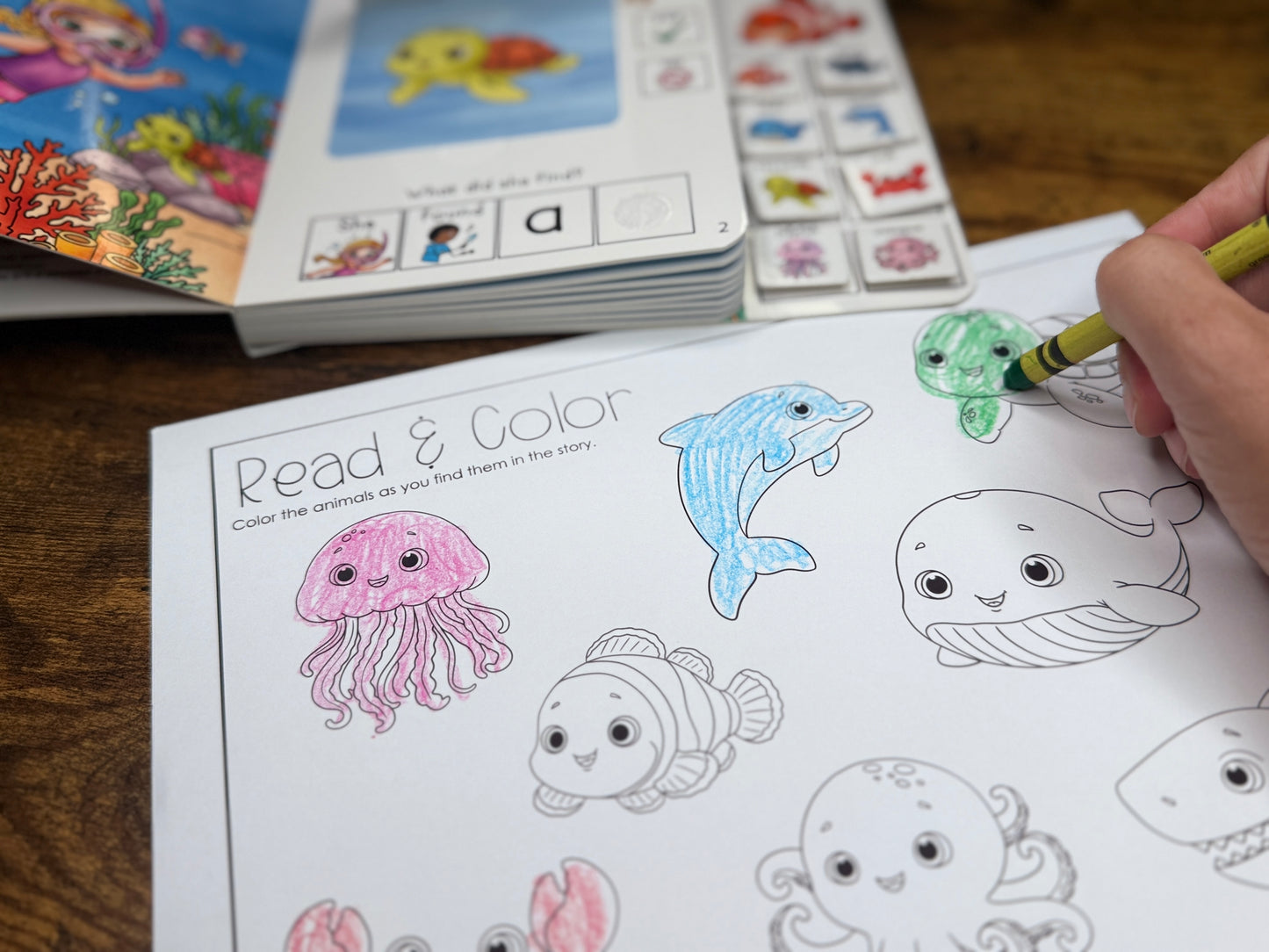 PRE-LAUNCH 8/2/2026 10am CST ! Della's Dive  Lift-a-Flap Board Book + downloadable extras
