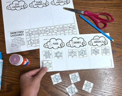 Snowstorm Categories FREEBIE