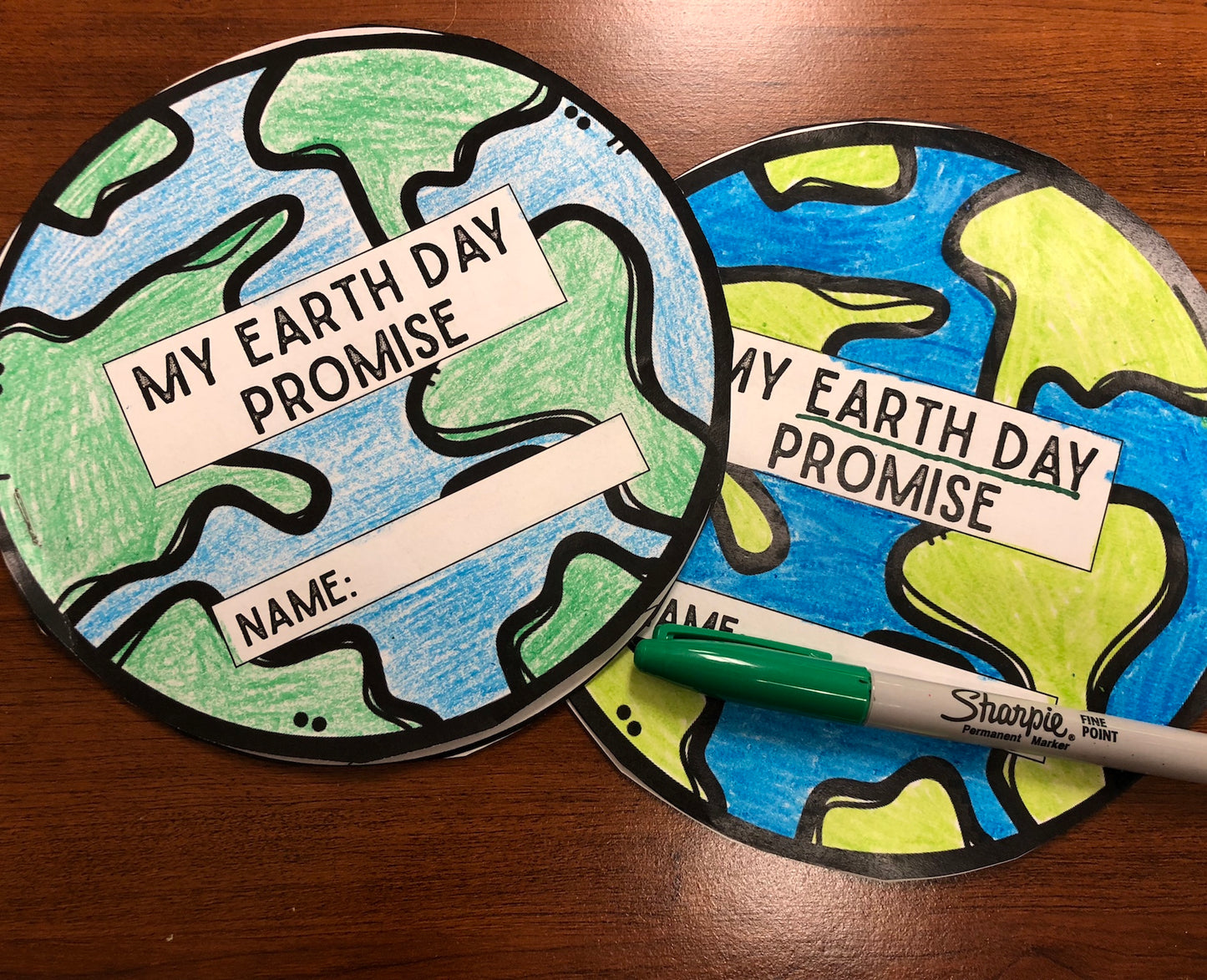 My Earth Day Promise FREEBIE (Craft Activity)