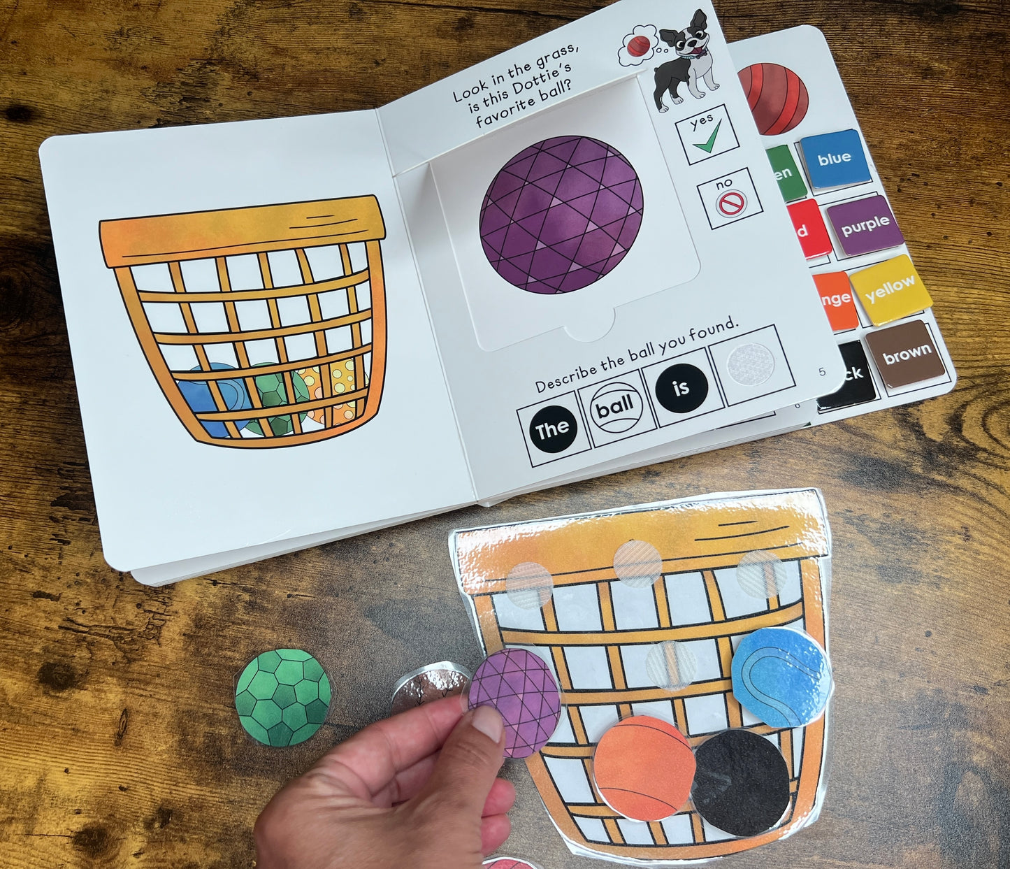 CLEARANCE Special Dottie's Favorite Ball  ~  Lift-a-Flap Board Book + downloadable extras