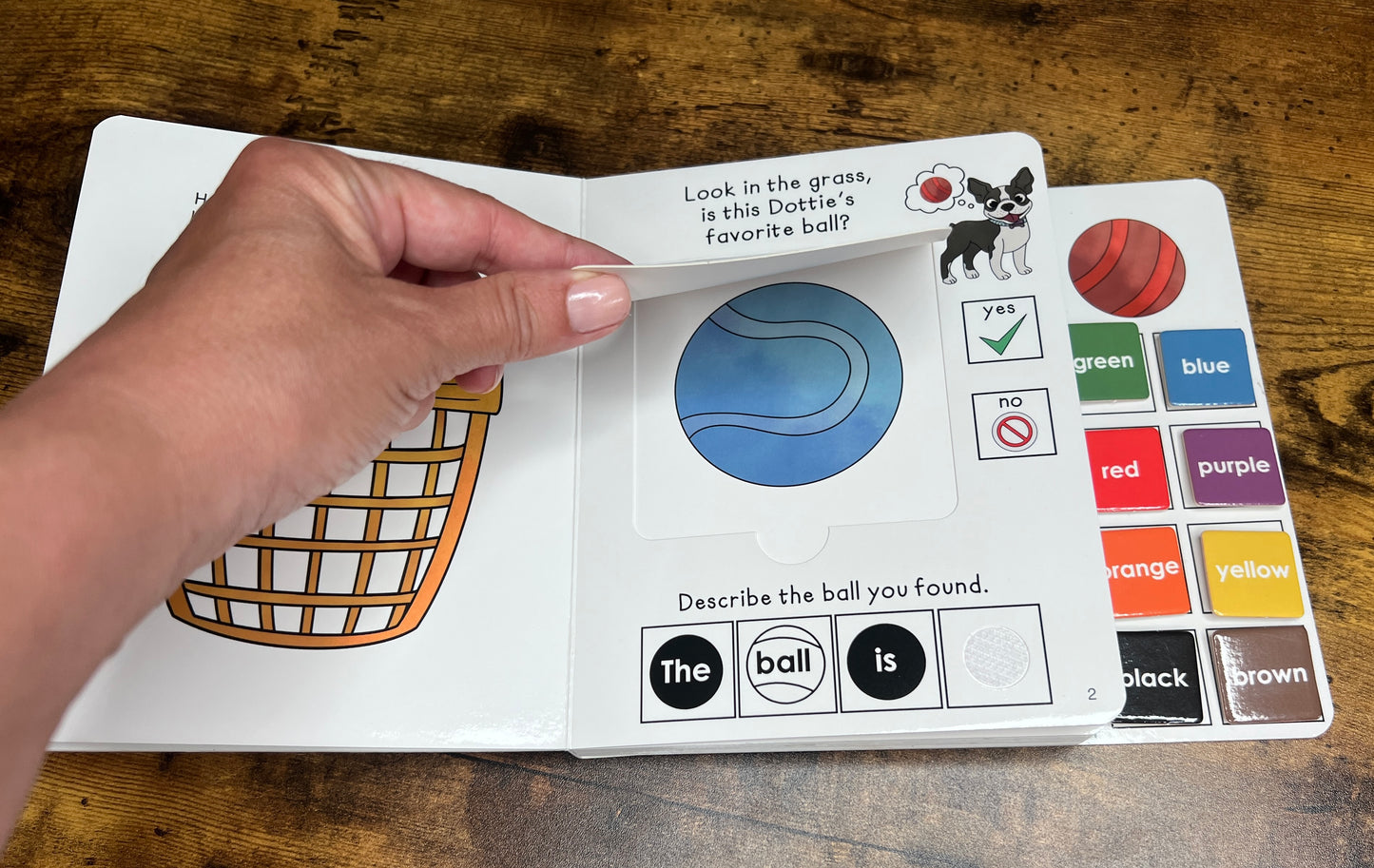 CLEARANCE Imperfect Dottie's Favorite Ball  ~  Lift-a-Flap Board Book + downloadable extras