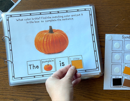 Real Photo Functional Vocabulary Book: WHAT COLOR IS IT? Print & Make Book