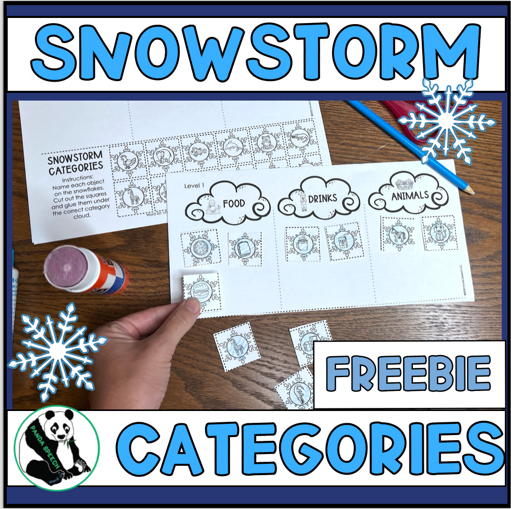 Snowstorm Categories FREEBIE