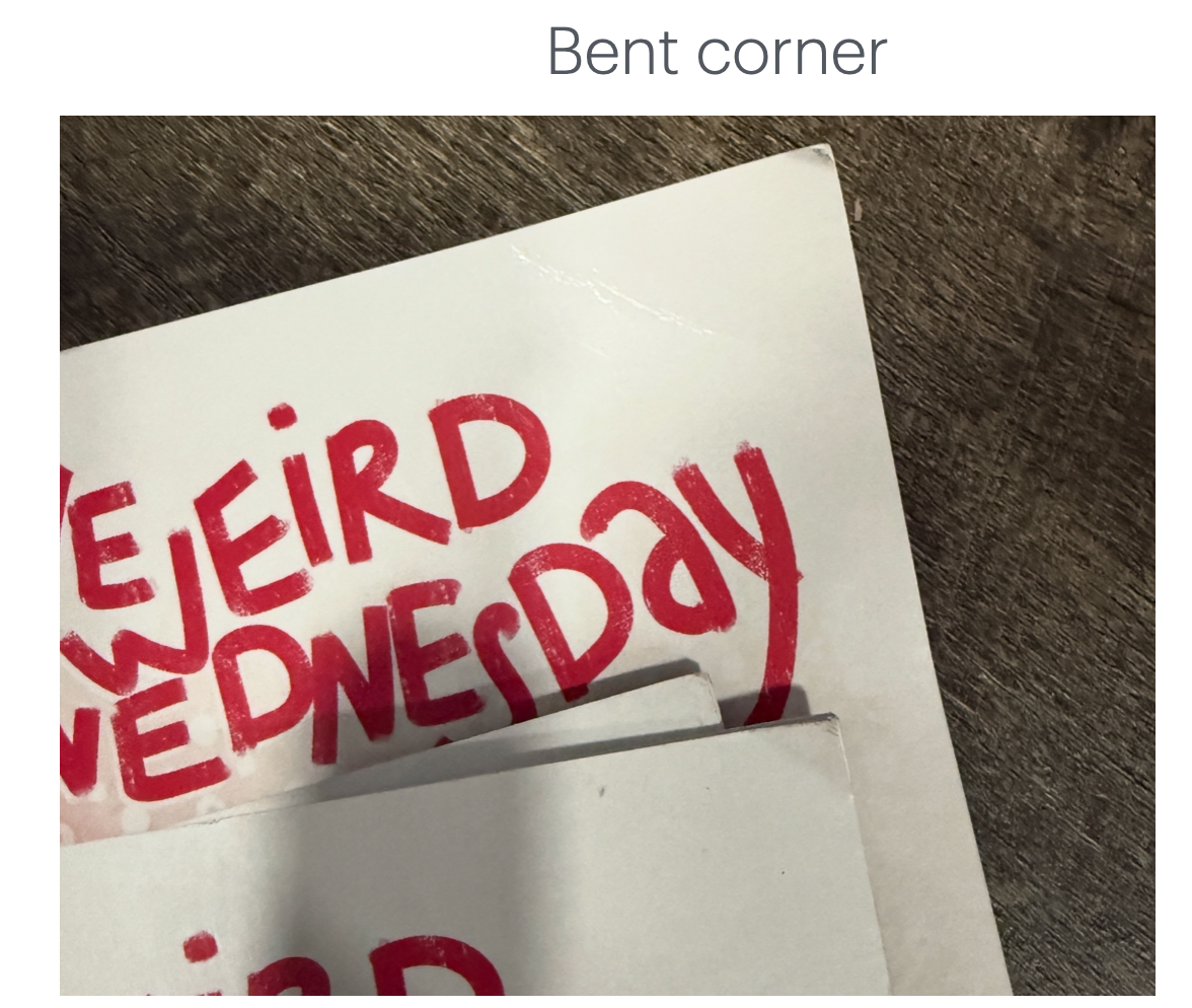 CLEARANCE: One Weird Wednesday (BENT CORNER)  ~ Picture Story Book (limited quantities)