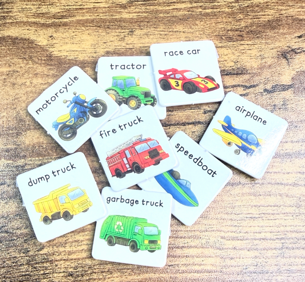The Missing Fire Truck: Extra Picture Symbol Pieces
