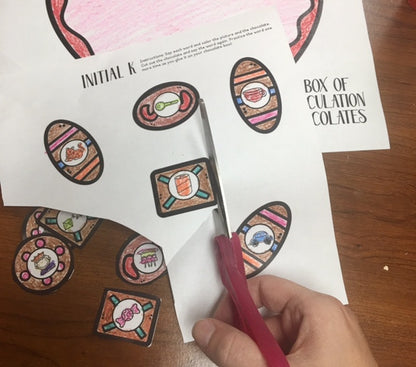 A Box of Articulation Chocolates~ Speech Therapy Cut & Paste Craft