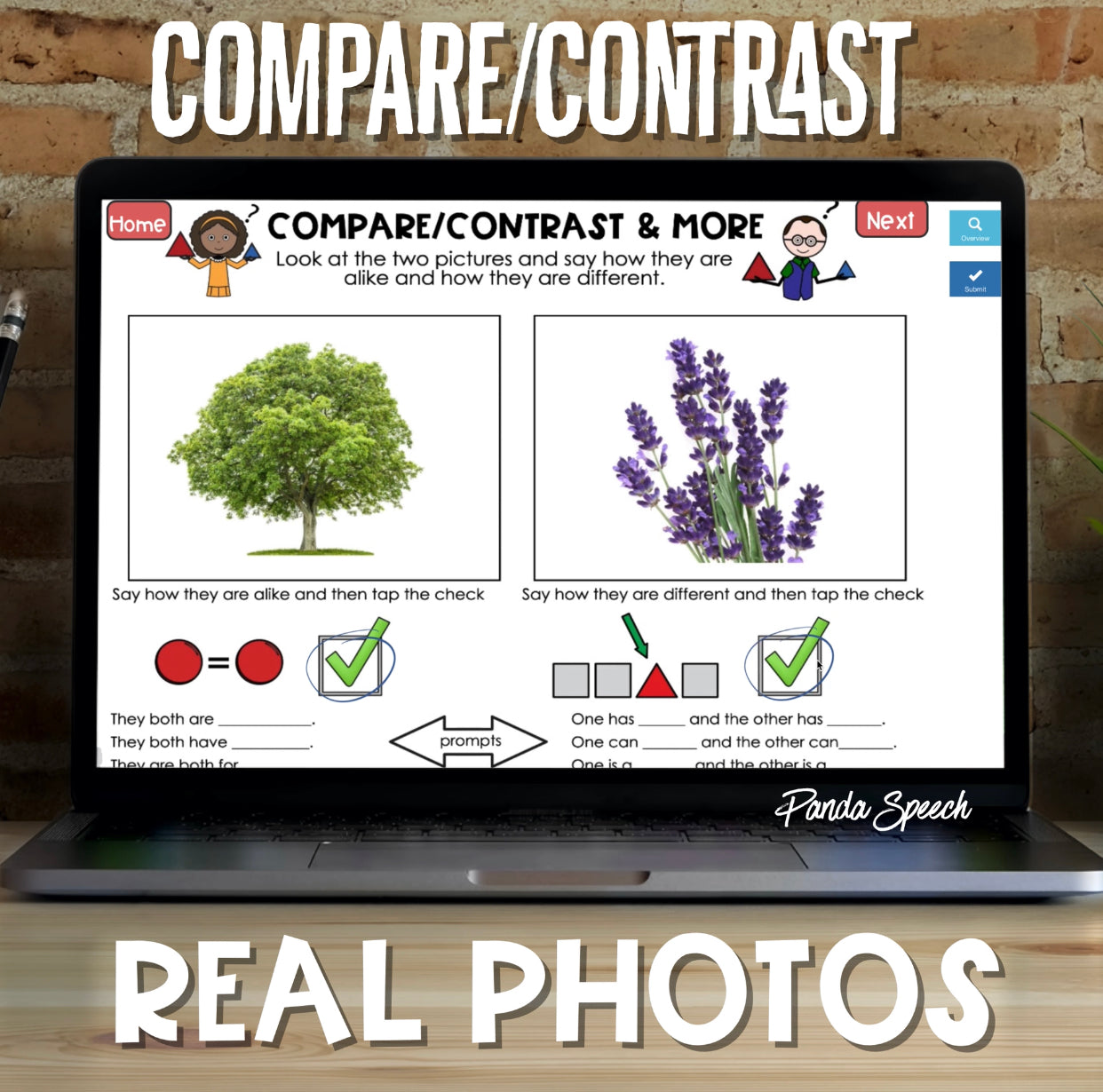 Real Photo Language Cards: Compare and Contrast