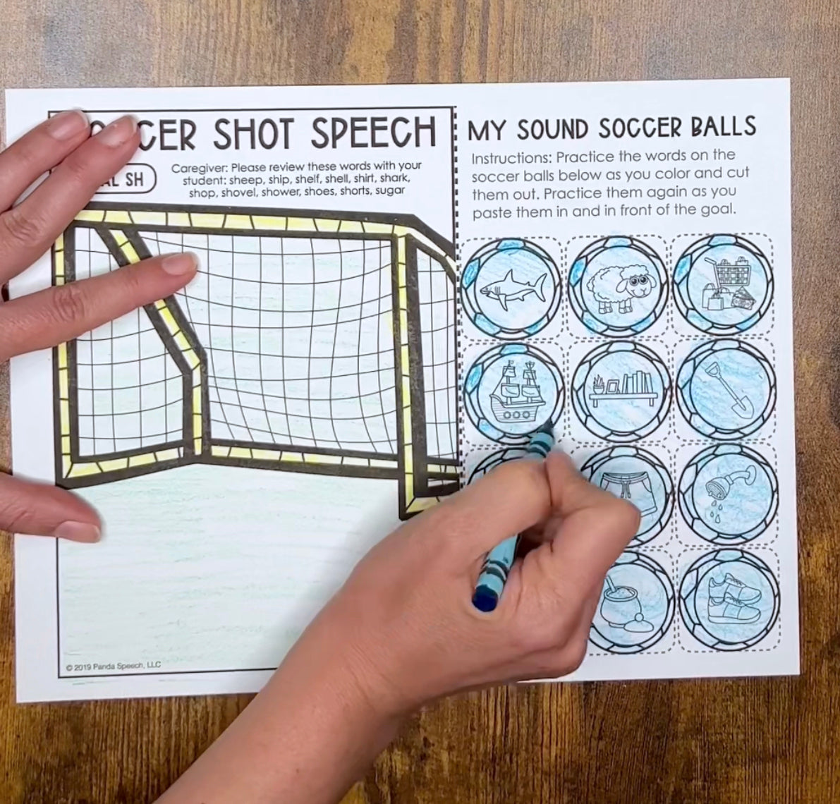 Soccer Shot Speech ~ One Page Speech and Language Craft