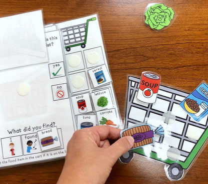 Sheldon Goes Shopping LIft a Flap Book (Print & Make Book)