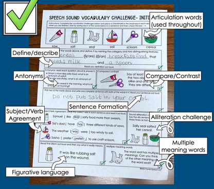Speech Sound Vocabulary Challenge~ Print & Go for Mixed Groups