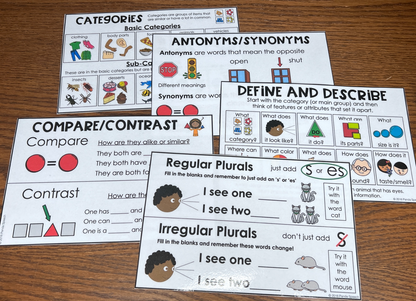 Quick Language Visuals ~ Speech Therapy Functional Decor for Teaching Concepts
