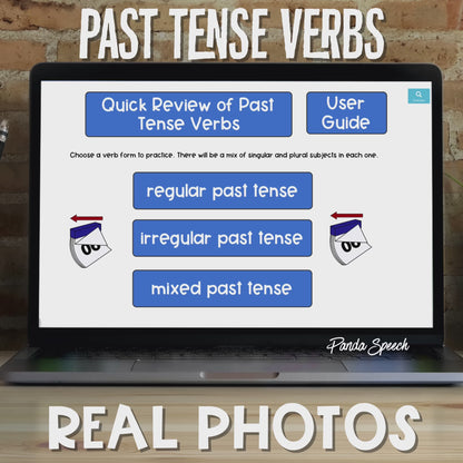 Real Photo Language Cards: What Happened Yesterday (Past Tense Verbs)