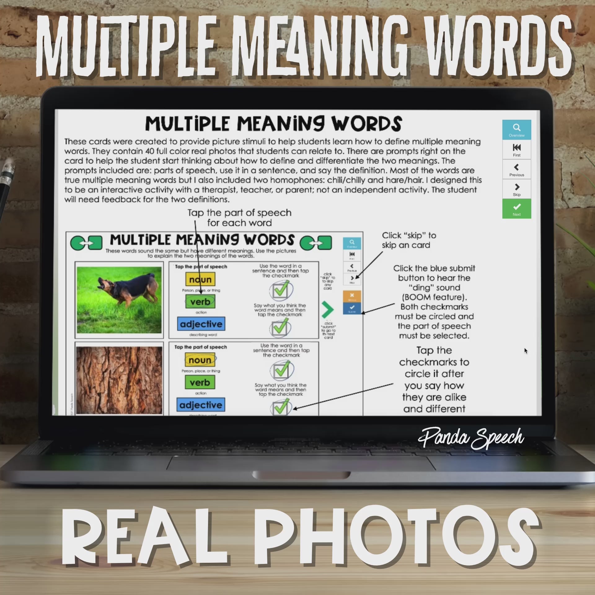 Real Photo Language Cards: Multiple Meaning Words